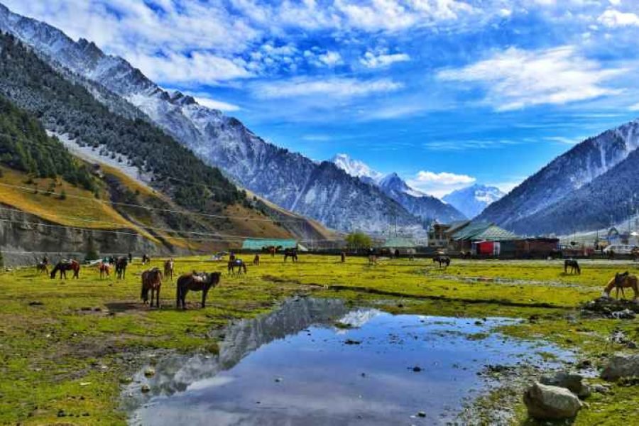 Fabulous Kashmir Tour Package with Doodhpatri (Flights Included)