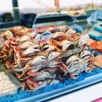 Photo Exquisite seafood